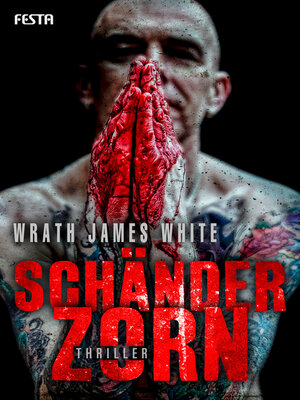 cover image of Schänderzorn